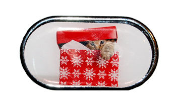 Púzdro so zrkadielkom Vianočný motív - Mačiatko v krabici