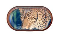Púzdro so zrkadielkom Divoká zvieratá - Leopard