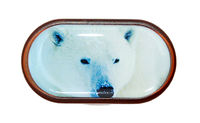Púzdro so zrkadielkom Divoká zvieratá - Ľadový Medveď