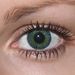 Yellow green v detailu na původní barvě očí hnědé